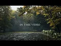 Quiet Autumn Rain | Gentle Rain Sounds for Sleep and Quiet Moments