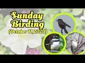 Lagu Sunday Birding (October 11,2020)