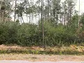 Property for Sale - 1232 Rainbow Drive Loris SC 29569