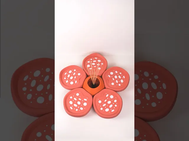 Rafflesia Corpse Flower Air Freshener video thumbnail