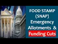 SNAP Food Stamp Jan Emergency Allotments 2023 CUTS 200 Plus New Programs 40 Kids Summer EBT