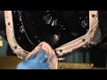 Pro Tip Gear Oil