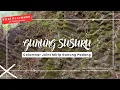 Download Lagu 🔴 PENEMUAN : Columnar Joint - GUNUNG SUSURU Sumedang