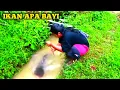 Download Lagu Mancing Saat Di Saat Hujan Strike Ikan Monster Segede Bayi