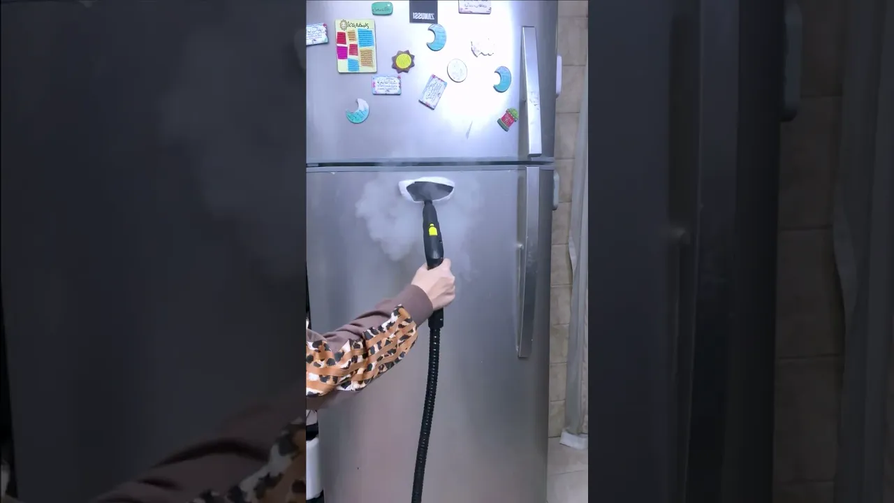 جهاز بخار دينكس 4