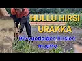 Download Lagu Kunnalliskodin hirret muuttavat Masalaan