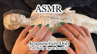 ASMR Full Body Tap Scratch On The Acupuncture Doll No Talking