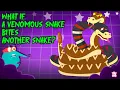 Download Lagu Deadliest Battle | Rattle Snake vs Cobra | What Happens If a Venomous Snake Bites Another Snake?