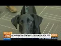 MCSO brings in K-9s to specifically sniff out drugs in jails