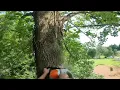 SOUND ON Westcoast saw bark box MS-462