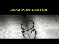 PSALM 35 NIV BIBLE