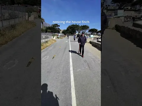The Shot I Didn't Plan (POV Gravel Ride)