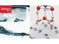 Quantum tunneling in the smallest water droplet
