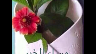 اجمل ما في المساء مساء الخير مساء الحب ومساء التسامح ومساء الورد 