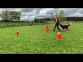 Agility Foundation - 5 Cone Game