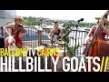 Download Lagu HILLBILLY GOATS - CUMBERLAND GAP (BalconyTV)