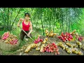 Download Lagu TIMELAPSE -- Harvesting 1000+ Giant Red Ginger \u0026 Caring for Sugarcane | Phương Countryside