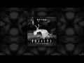 Cat Dealers & Evokings feat Magga - Gravity (Wall-E Remix)