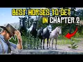 Top 5 Horses You Can Get in Chapter 2 RDR2
