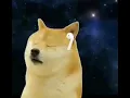Doge Cheems listening music with earphone meme template By Bangla Memes