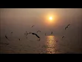 Henry Mancini -  Cortina