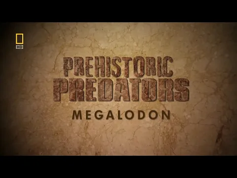Download MP3 Prehistoric Predators - Ep 4 Megalodon (2009)