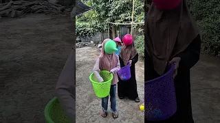 Challenge cari bola, yang dapat bola paling banyak siapa nih?!! #shorts