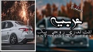 أغاني عراقية      مسرع اغنيه انت تدري روحي بيك حصريا على قطب كامري      دندنها