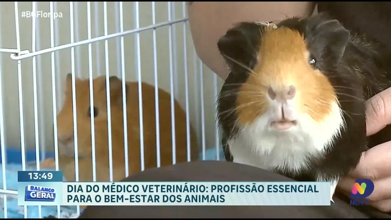 Dia do Médico Veterinário: celebrando o trabalho essencial para todos os animais