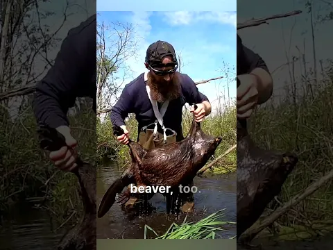 Let me teach you how to eat beaver!