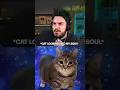 Download Lagu Hot or Not? Brain rot cat remixes