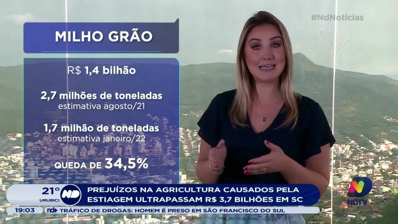 Prejuízos na agricultura causados pela estiagem ultrapassam R$ 3.7 bilhões