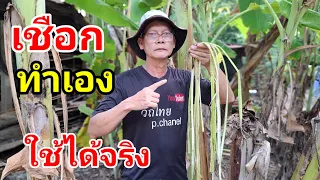 ทำเชือกใช้เองง่ายๆจากเปลือกกล้วย#วิธีทำเชือก#วิถีไทยp.channel