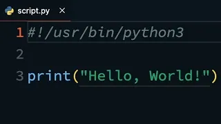 Fix Permission Denied Errors in Python With a Shebang