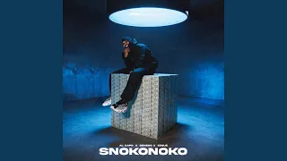 snokonoko