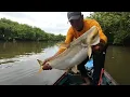 Download Lagu Tarikan ikan ini bikin saya meringis menahan nya