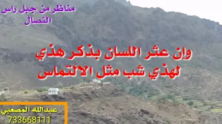 قصيده رائعه في تعدد الزوجات اسمعها 