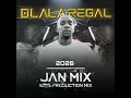 Lagu Dlala Regal - Jan 100% Production Mix | Amapiano Mixtape