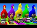Download Lagu Long Slide Game With Cow Elephant Gorilla Hippopotamus Tiger 3d Animal Game Funny 3d Animals