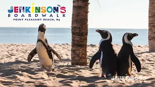 Making Memories Jenkinson s Boardwalk 2025 Commercial