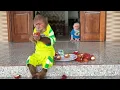 Download Lagu Baby monkey secretly did shocking thing behind CUTIS's back ...OMG🙏