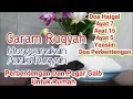 Download Lagu [MP3 Audio Ruqyah Garam] untuk Melindungi Rumah¦Ayat 5¦Ayat7¦Ayat15¦Haigal¦Yasin MP3