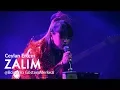 Download Lagu Ceylan Ertem - Zalım (Canlı Performans)