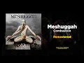 Meshuggah - Combustion (MASSIVE Remaster)