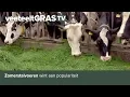 Download Lagu Zomerstalvoeren wint aan populariteit