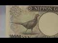 Download Lagu Bank of Japan ⎮ 10000 Yen ND (1993) Pick 102b Solid #8's ⎮ Reverse ⎮ PMG 66 EPQ