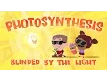 Good Thinking Photosynthesis Blinded by the Light
