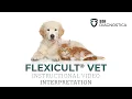 Download Lagu SSI Flexicult aflaesning (Uk)