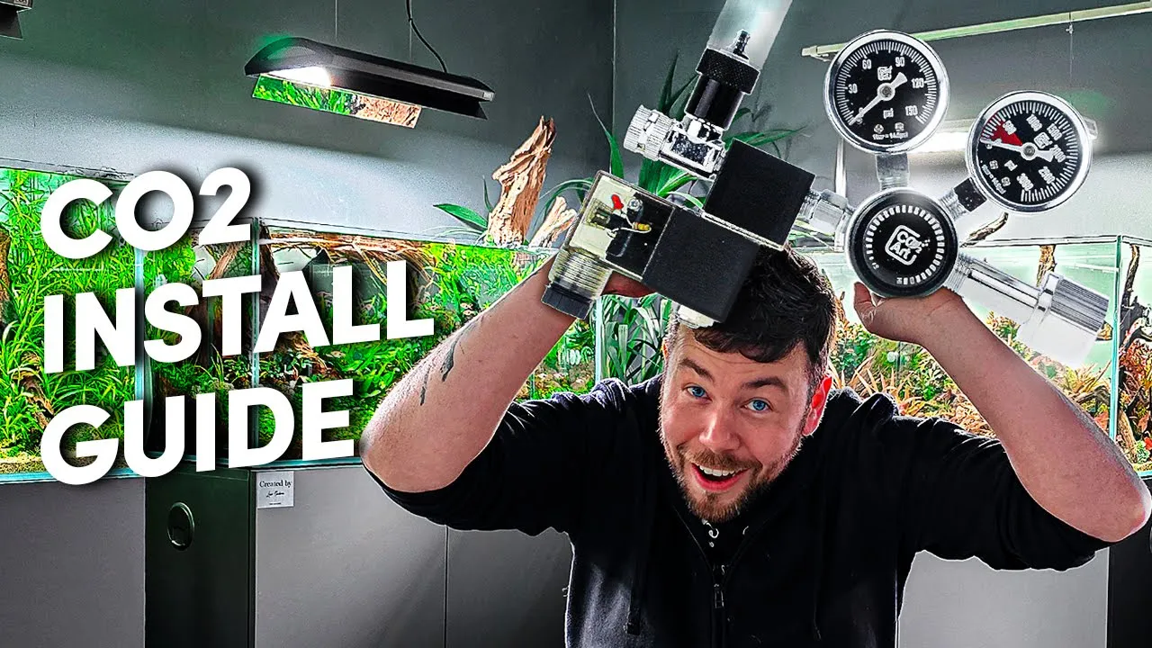 Aquarium CO2 How to Install & Tips: Beginner's Guide Aquarium CO2 How to Install & Tips: Beginner's Guide