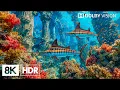 Enchanting Deep Blue Ocean Creatures in 8K HDR | Dolby Vision™